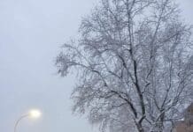 Nevica a Genova, via Emilia si traveste da Scandinavia ma si circola con difficoltà via Emilia, neve