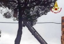 Rami pericolanti tra le vie di Sarzana, intervento dei Vigili del Fuoco