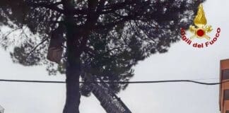 Rami pericolanti tra le vie di Sarzana, intervento dei Vigili del Fuoco