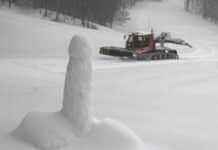 Santo Stefano d’Aveto – Rimossa la scultura fallica ripresa dalla webcam del Prato della Cipolla scultura fallica Santo Stefano d'Aveto