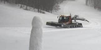 Santo Stefano d’Aveto – Rimossa la scultura fallica ripresa dalla webcam del Prato della Cipolla scultura fallica Santo Stefano d'Aveto