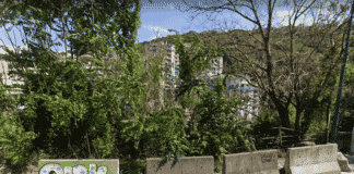 Marassi – Il muraglione che sostiene via Gandin sta cedendo, allarme tra i residenti via Gandin Marassi cedimento