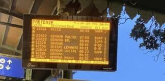 Pieve Ligure, albero cade sui binari: traffico ferroviario in tilt treni soppressi