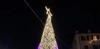 Albero di Natale in piazza, anche Recco dopo le polemiche sceglie anche quello ecologico albero di Natale Recco