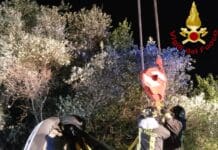 Lerici, auto si ribalta e finisce in una scarpata