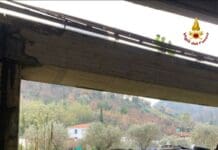 La Spezia – Auto vola giù dal viadotto per 10 metri, salvo il conducente