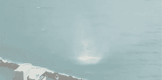 Chiavari – Tromba marina scoperchia il tetto di un edificio – VIDEO Chiavari tromba marina