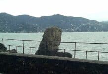 Addio al Pino della Carega – Il simbolo della resilienza ligure spazzato via dal vento Pino della Carega