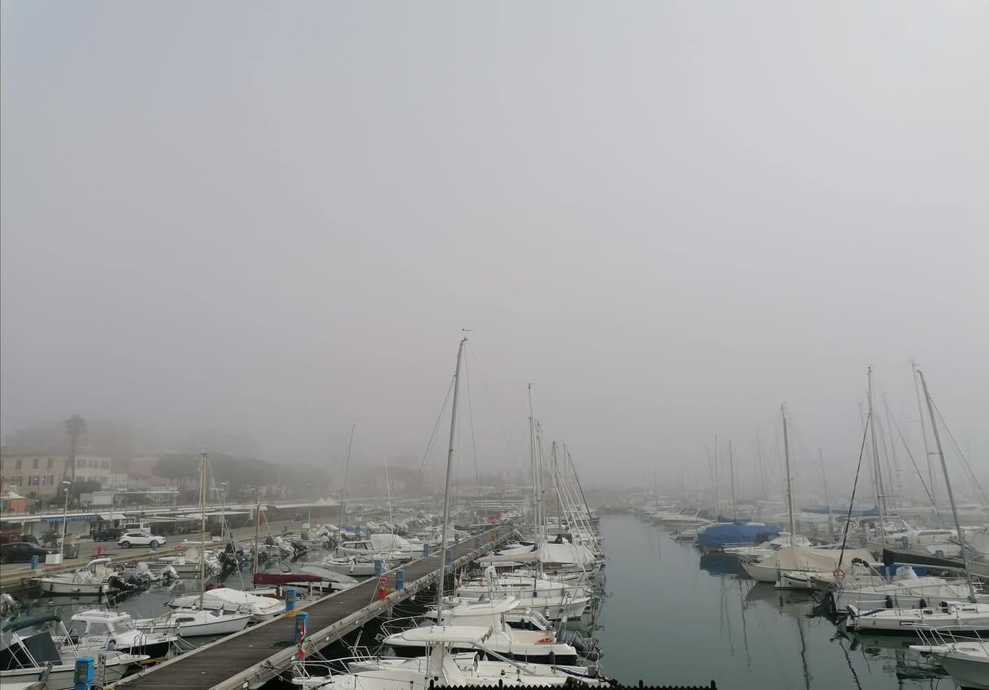 Il Caligo avvolge la costa ligure, lo spettacolo della nebbia di mare - VIDEO - Liguria Oggi