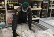 Falsi prodotti Bio venduti ad Albisola Marina Guardia di Finanza cibo scaduto frigo market