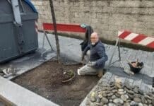 Sestri Ponente – Iniziano i lavori per ripristinare le aiuole di viale Canepa mosaico viale canepa sestri ponente