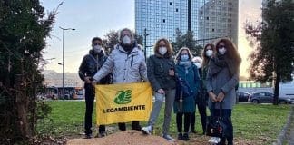 Strage di alberi a Brignole, manifestazione contro il taglio Brignole alberi tagliati