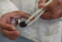 Acqua potabile dall’aria e dal mare prodotta con una spugna, nuova creazione dell’IIT di Genova spugna per ricavare acqua IIT