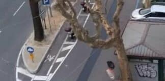 Piste ciclabili, cancellata nella notte quella realizzata per errore in corso Torino pista ciclabile corso Torino