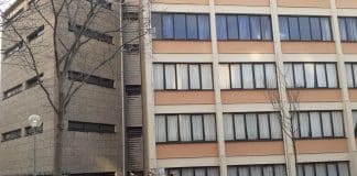 Strage di alberi a Genova, anche il Movimento 5 Stelle denuncia irregolarità albero abbattuto corso mentana