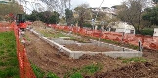 Colata di cemento nelle aiuole di viale Nazario Sauro, per il Municipio è tutto regolare colata cemento aiula nazario sauro