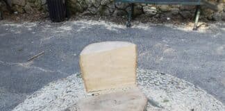 Genova, alberi abbattuti a Villa Scassi, proteste dei residenti albero tagliato Villa Scassi