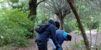 Volontari ripuliscono i sentieri genovesi, raccolti 700 chili di rifiuti