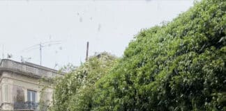 Genova – La neve sorprende la città – VIDEO