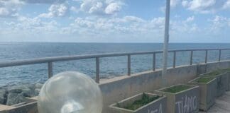 Depuratore di Sturla, riaprono i giardini ma sembrano un cantiere depuratore Sturla degrado