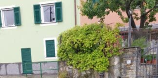 Si rompe un tubo dell’acqua, Apparizione senz’acqua