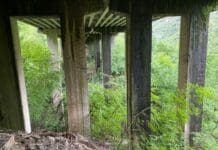 Autostrade – Degrado del viadotto Campodonico, il comune di Chiavari: “Pessime condizioni di manutenzione”