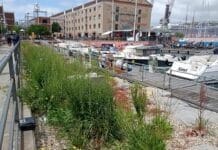 Genova riapre ma non cura il look molo porto antico