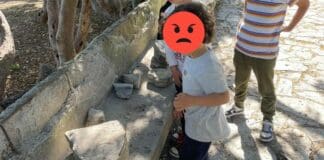 Quinto, l’area per i cani ai giardini è ultimata ma i bambini giocano tra il degrado giardini quinto degrado