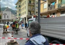 Palme abbattute a Recco sostituite con alberi di agrumi palme tagliate Recco