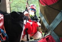 Malore sul Monte Moro, escursionista salvato con l’elicottero insieme ai cani vigili fuoco salvataggio cani elicottero