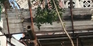 A Granarolo “spunta” dai rovi un cannone della Prima Guerra Mondiale cannone granarolo asilo campodonico