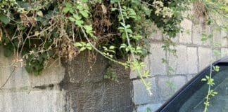 Fogna scarica per strada a Marassi fogna via Zena