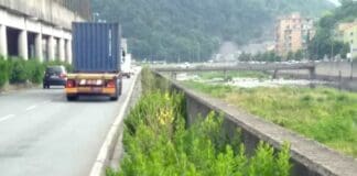 Degrado a Genova, i marciapiedi lungo il Bisagno a Struppa sono foreste marciapiede erbacce Struppa