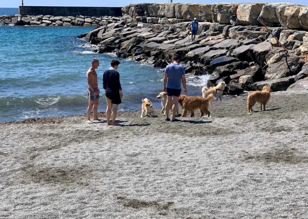spiaggia cani San Bartolomeo al Mare