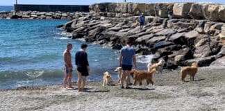 Riapre la spiaggia per cani a San Bartolomeo al Mare spiaggia cani San Bartolomeo al Mare