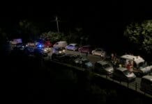 Scooter contro cinghiale in via Berghini, 2 feriti incidente Berghini