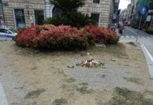 Aiuole di Genova dimenticate? aiuola via Roma
