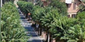 Santa Margherita Ligure, protesta contro il sindaco per il taglio degli alberi in corso Rainusso corso Rainusso, santa Margherita Ligure
