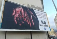 Referendum No alla Caccia, manifesti choc a Genova manifesto referendum no caccia