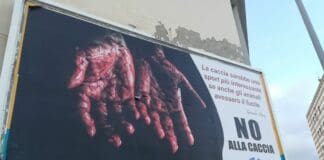 Referendum No alla Caccia, manifesti choc a Genova manifesto referendum no caccia