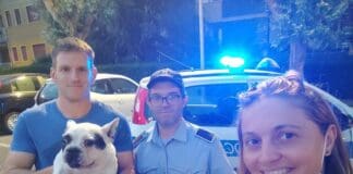 Loano, la polizia locale recupera un cane rubato sul treno cane rubato su treno a Loano