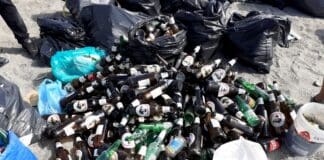 Volontari ripuliscono la spiaggia della Foce, raccolti 45 sacchi di “frumenta”