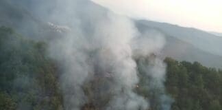 Ancora emergenza incendi boschivi in Liguria Incendio Dolcedo