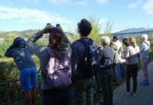 Chiavari, birdwatching lungo le sponde del fiume Entella Birdwatching Chiavari