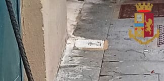 Cane legato a un portone e abbandonato sotto la pioggia, salvato dalla Polizia