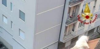 Genova, gatto cade dall’ottavo piano e resta in bilico su una tenda da sole gatto salvataggio rivarolo