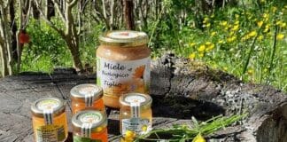 Mieli dei Parchi della Liguria, la produzione del Parco del Beigua al concorso Miele dei Parchi