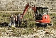 Carcassa di cinghiale nel greto nel Bisagno rimossa dai Vigili del Fuoco – VIDEO