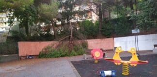 Marassi, albero crolla nei giardini Sanguineti