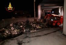 Molassana, incendio in viale Canepa incendio Molassana